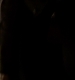 TVD_311.JPG