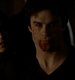 TVD_313.JPG