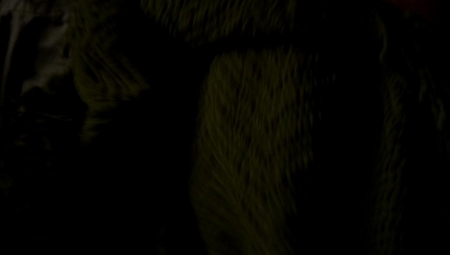 TVD_336.JPG