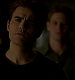 TVD_230.JPG