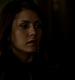 TVD_274.JPG