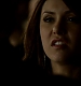 TVD_300.JPG