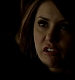 TVD_303.JPG