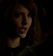 TVD_313.JPG