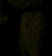 TVD_336.JPG