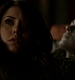 TVD_343.JPG