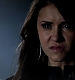 TVD_384.JPG