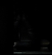 TVD_455.JPG