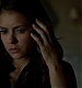 TVD_046.JPG