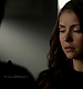 TVD_081.JPG