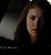 TVD_088.JPG