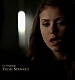 TVD_106.JPG