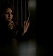 TVD_149.JPG