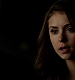TVD_166.JPG