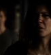TVD_184.JPG