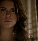 TVD_233.JPG
