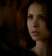 TVD_249.JPG