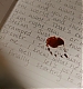 TVD_286.JPG