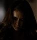 TVD_373.JPG