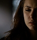 TVD_379.JPG