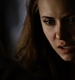 TVD_391.JPG
