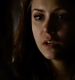 TVD_395.JPG