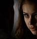 TVD_397.JPG
