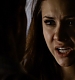TVD_398.JPG