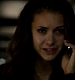 TVD_411.JPG