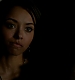 TVD_448.JPG