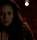 TVD_478.JPG