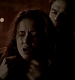 TVD_511.JPG