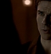 TVD_525.JPG