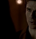 TVD_526.JPG