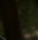 TVD_608.JPG