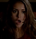 TVD_035.JPG