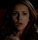 TVD_040.JPG