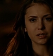 TVD_317.JPG