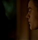 TVD_320.JPG