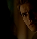 TVD_330.JPG