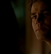 TVD_344.JPG