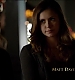 TVD_019.JPG