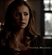 TVD_022.JPG