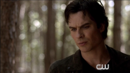 TVD_093.JPG