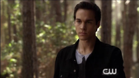 TVD_460.JPG