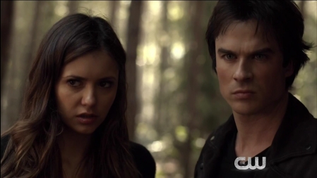 TVD_484.JPG