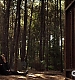 TVD_447.JPG