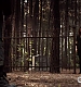 TVD_483.JPG