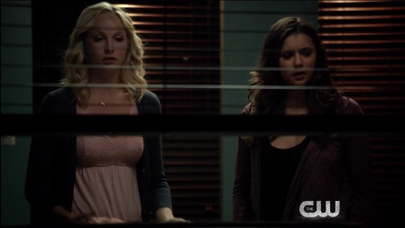 TVD_100.JPG