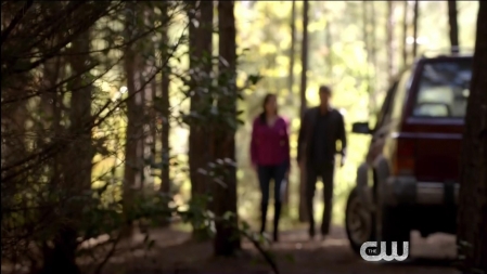 TVD_230.JPG